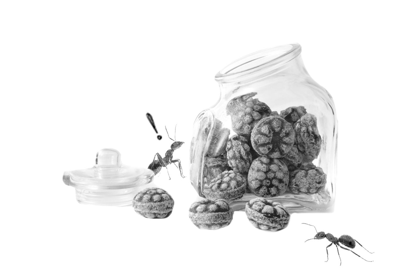 Schwarz-weiß Grafik mit Bonbons in einem Glas und Ameisen